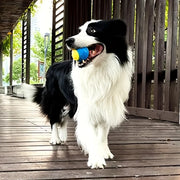 Durable Dog Chew Ball