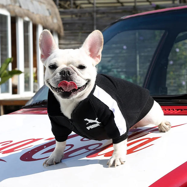 Stylish Baseball Dog Jacket