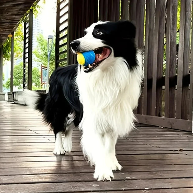 Durable Dog Chew Ball