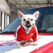 Stylish Baseball Dog Jacket