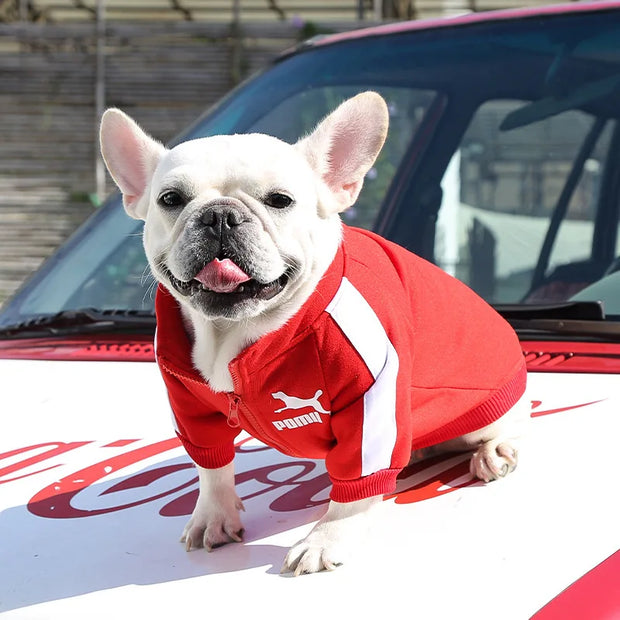 Stylish Baseball Dog Jacket