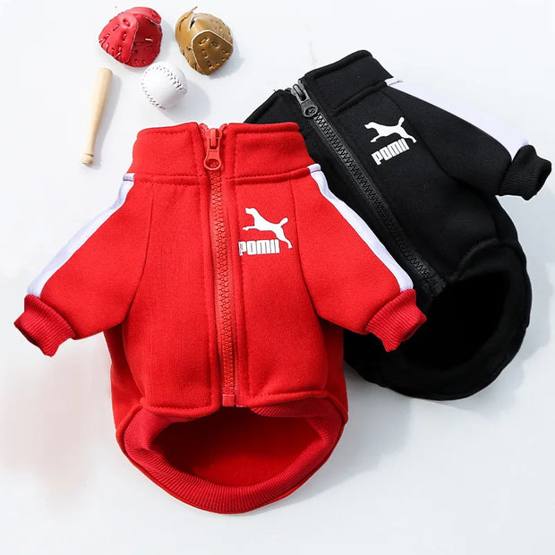 Stylish Baseball Dog Jacket