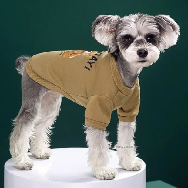 Cute Bear Dog Sweatshirt