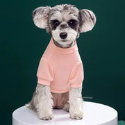 Cute Bear Dog Sweatshirt