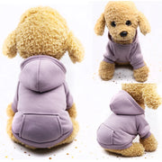 Cozy Dog Hoodie Coat