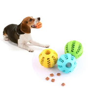 Treat-Dispensing Chew Ball