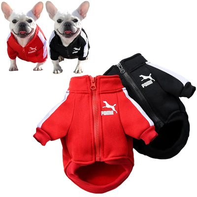 Stylish Baseball Dog Jacket