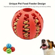 Treat-Dispensing Chew Ball